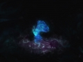 Magic Mushroom by Xin Xu