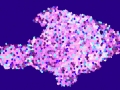 Pisceosin-Y