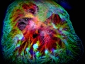 Rainbow Heart