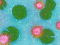 02-Viral-Bloom-Amna