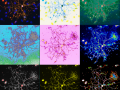 17-Reimagining-glia