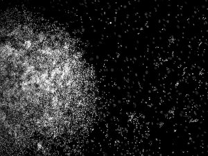 "We're All Made of Stardust" by Shreya Shukla