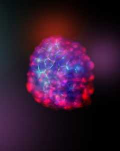 Image of