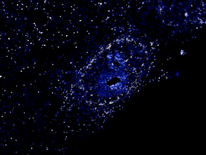 An image of