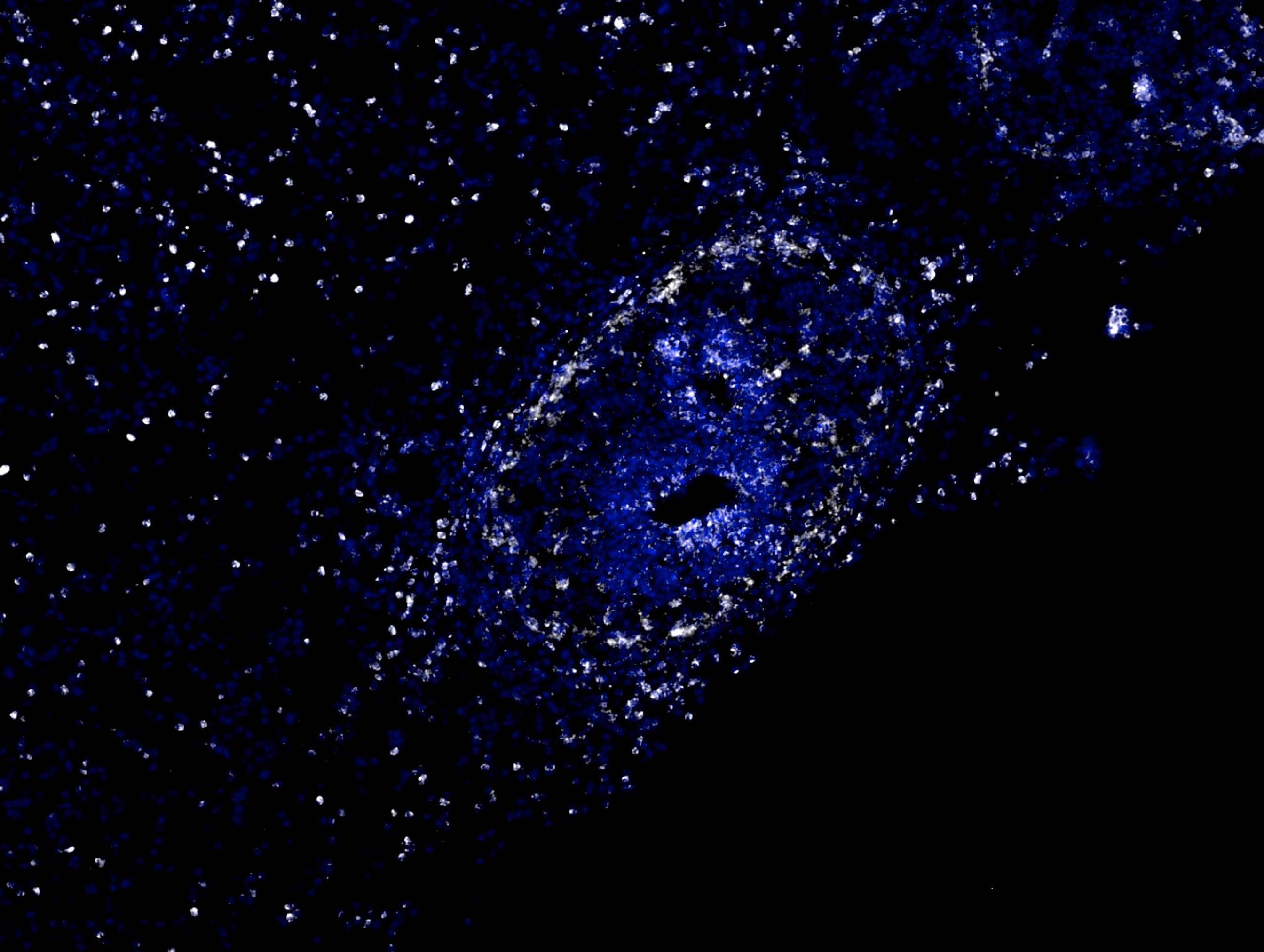 An image of