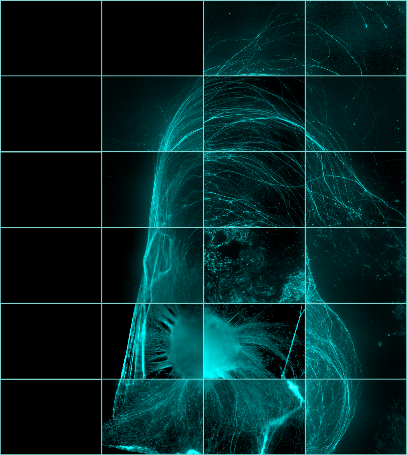 An image of