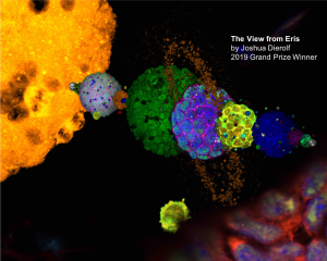 Cells I See
